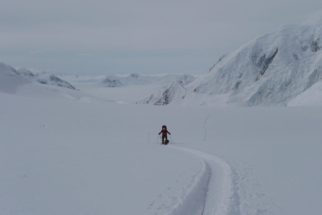 Huelllon tras la nevada del dia anterior